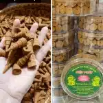 Nhang Nụ Quế Vỏ Hộp 36 Viên Thơm Ấm Tự Nhiên Nhang Nụ Quế Vỏ Hộp 36 Viên Thơm Ấm Tự Nhiên