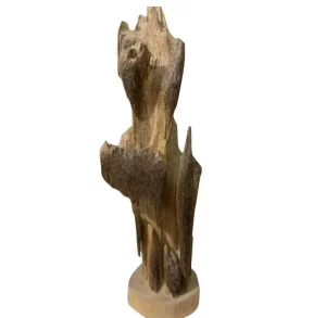 Trầm Cảnh Cao 60cm Thơm