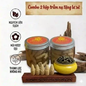 Combo 2 Hộp Nụ Búp Sen Thơm Đặc Biệt Tặng Kèm 1 Lư Sứ Cao Cấp.