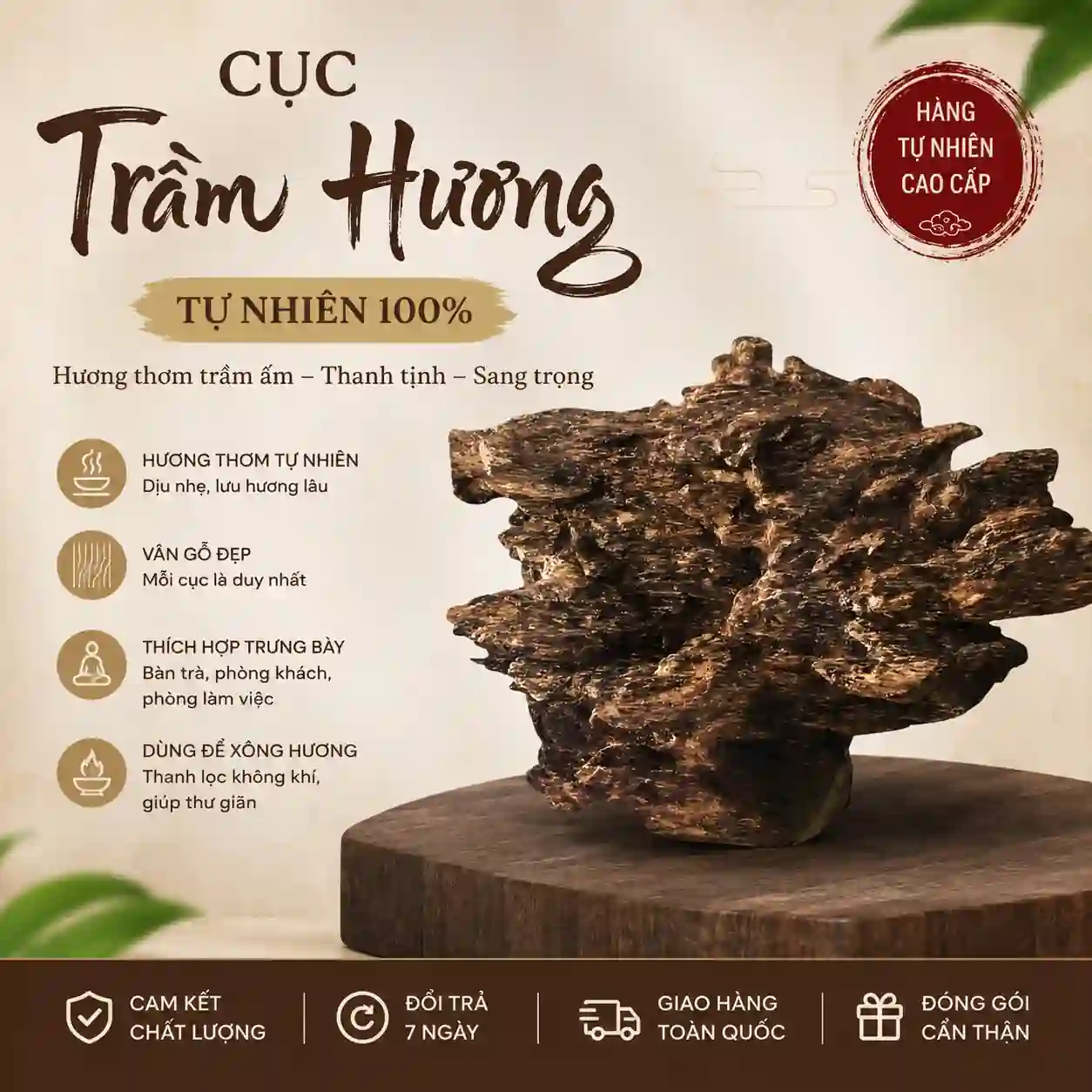 Hình ảnh Trầm Hiệp Phát